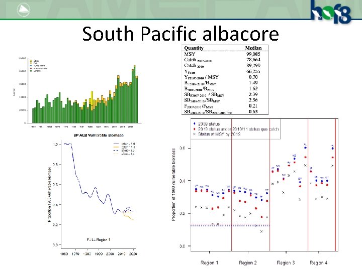 South Pacific albacore 