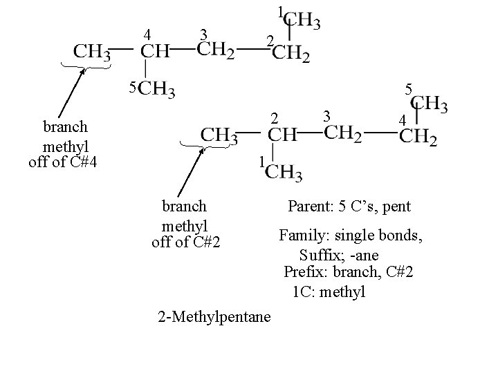 1 4 3 2 5 5 2 branch methyl off of C#4 3 4