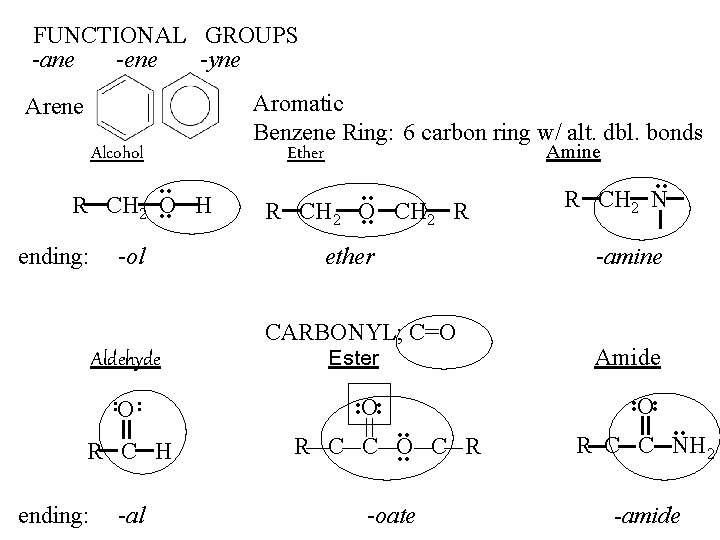 FUNCTIONAL GROUPS -ane -ene -yne Arene Alcohol . . R CH 2. . O