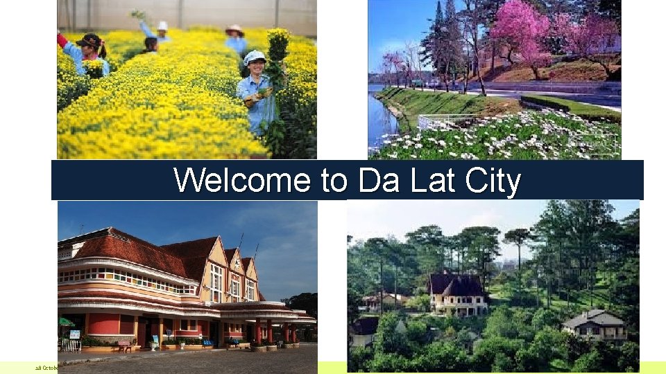 Welcome to Da Lat City 18 October 2021 