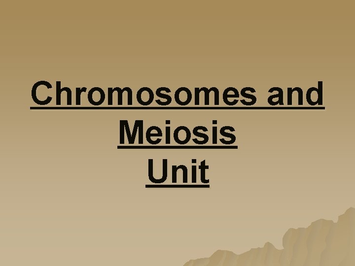 Chromosomes and Meiosis Unit 