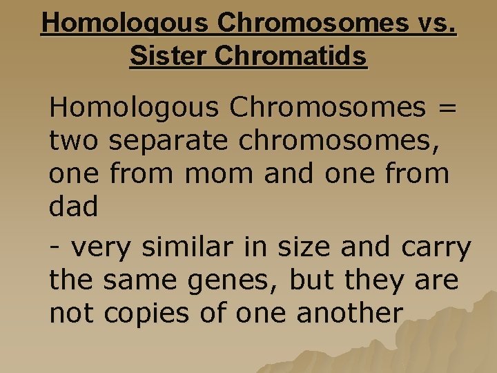 Homologous Chromosomes vs. Sister Chromatids Homologous Chromosomes = two separate chromosomes, one from mom