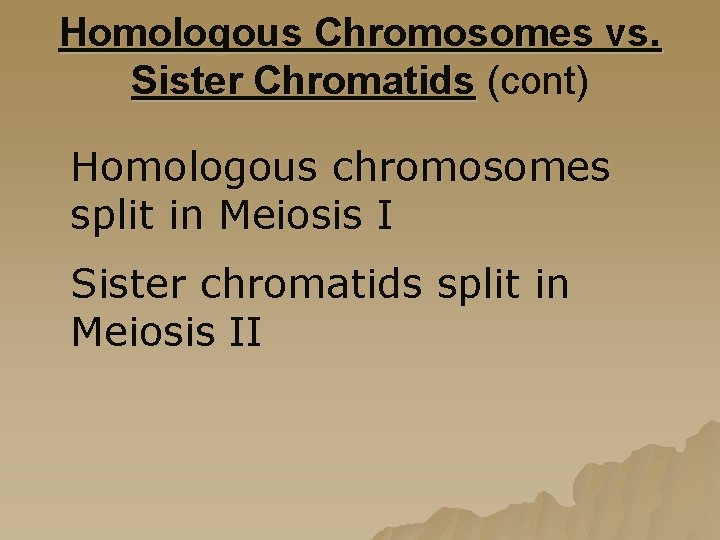 Homologous Chromosomes vs. Sister Chromatids (cont) Homologous chromosomes split in Meiosis I Sister chromatids