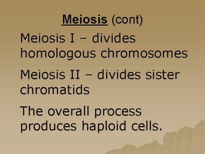 Meiosis (cont) Meiosis I – divides homologous chromosomes Meiosis II – divides sister chromatids