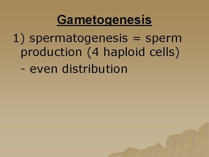 Gametogenesis 1) spermatogenesis = sperm production (4 haploid cells) - even distribution 