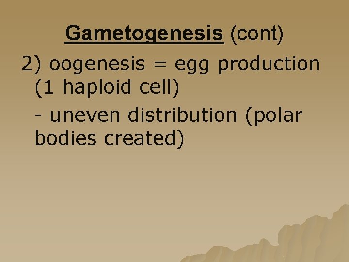 Gametogenesis (cont) 2) oogenesis = egg production (1 haploid cell) - uneven distribution (polar