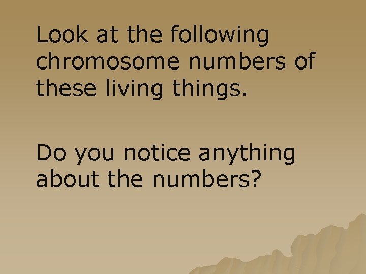 Look at the following chromosome numbers of these living things. Do you notice anything