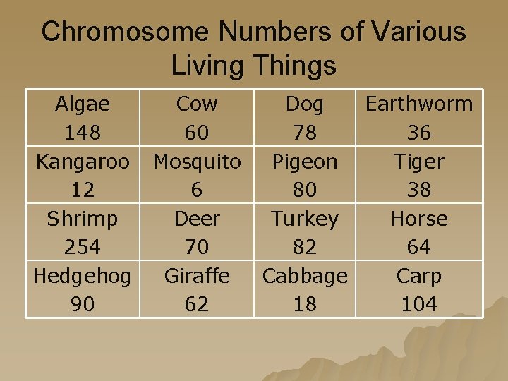 Chromosome Numbers of Various Living Things Algae Cow Dog Earthworm 148 60 78 36