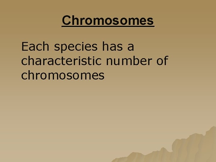 Chromosomes Each species has a characteristic number of chromosomes 