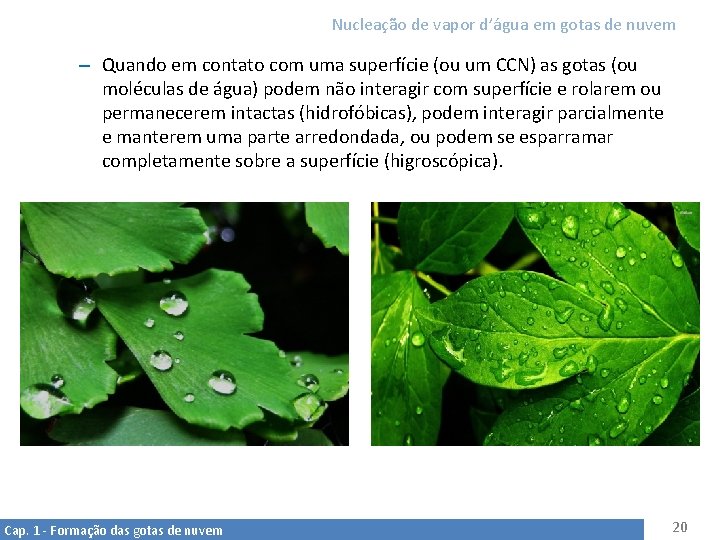 Nucleação de vapor d’água em gotas de nuvem – Quando em contato com uma