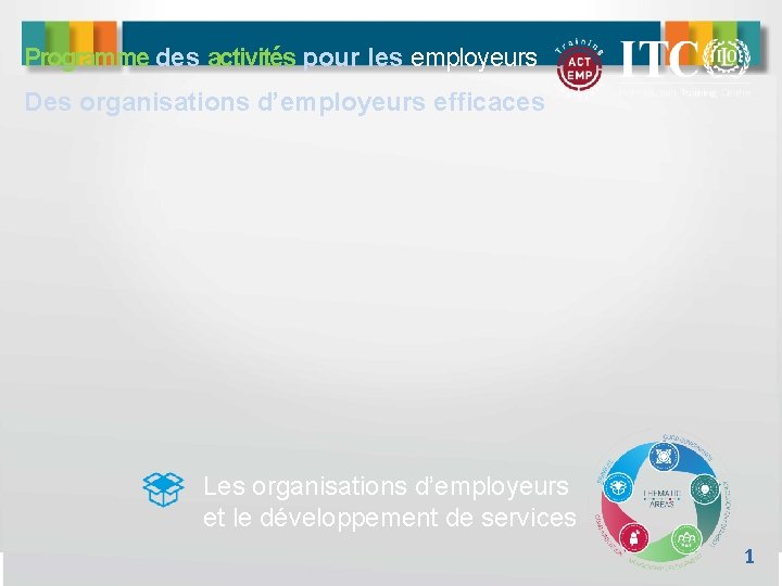 Programme des activités pour les employeurs Des organisations d’employeurs efficaces Les organisations d’employeurs et