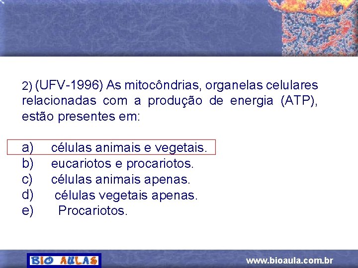 2) (UFV-1996) As mitocôndrias, organelas celulares relacionadas com a produção de energia (ATP), estão