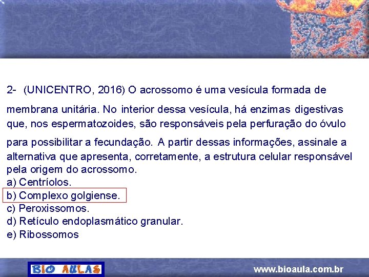 2 - (UNICENTRO, 2016) O acrossomo é uma vesícula formada de membrana unitária. No