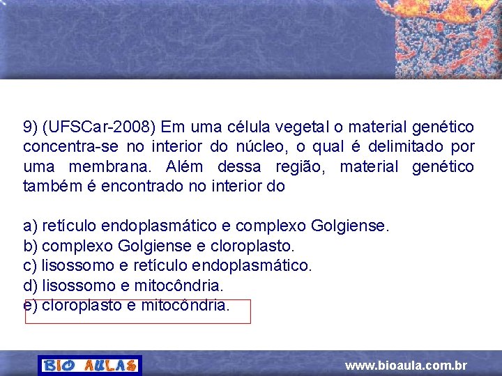 9) (UFSCar-2008) Em uma célula vegetal o material genético concentra-se no interior do núcleo,