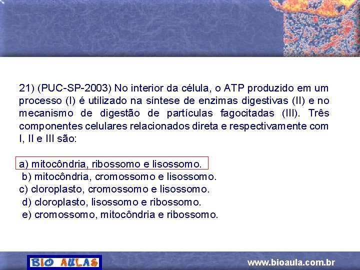 21) (PUC-SP-2003) No interior da célula, o ATP produzido em um processo (I) é