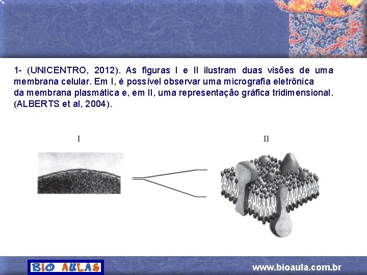 1 - (UNICENTRO, 2012). As figuras I e II ilustram duas visões de uma