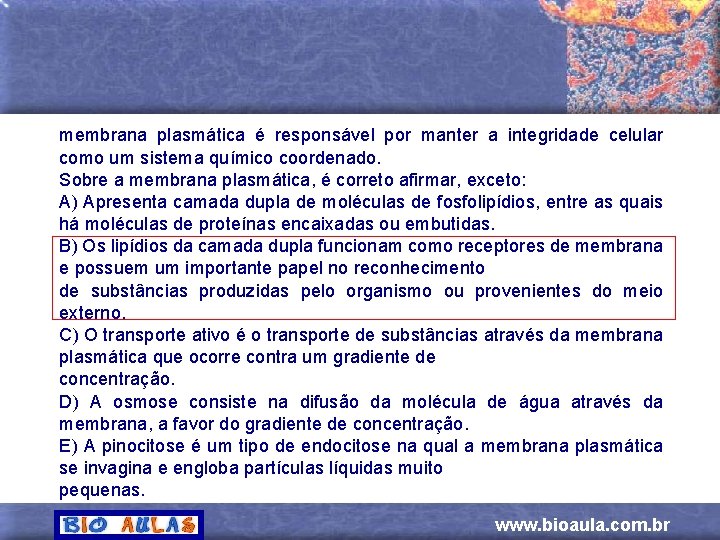 membrana plasmática é responsável por manter a integridade celular como um sistema químico coordenado.