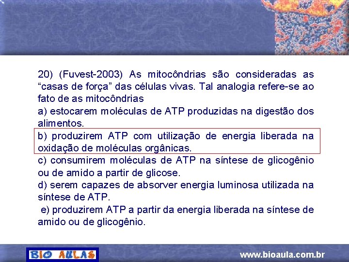 20) (Fuvest-2003) As mitocôndrias são consideradas as “casas de força” das células vivas. Tal