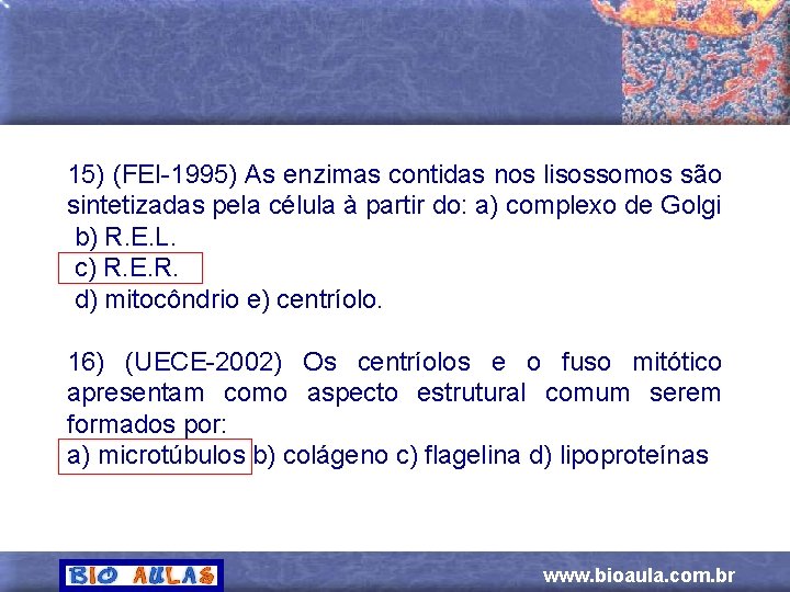 15) (FEI-1995) As enzimas contidas nos lisossomos são sintetizadas pela célula à partir do: