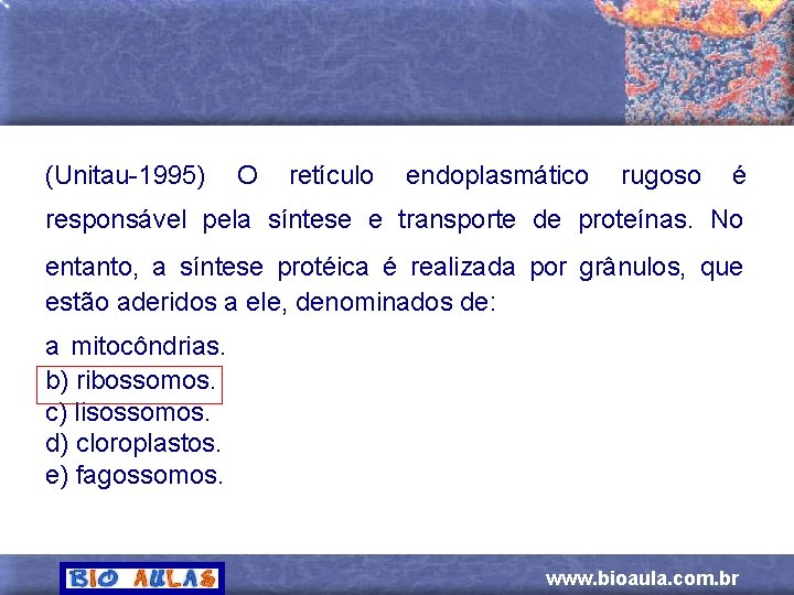 (Unitau-1995) O retículo endoplasmático rugoso é responsável pela síntese e transporte de proteínas. No