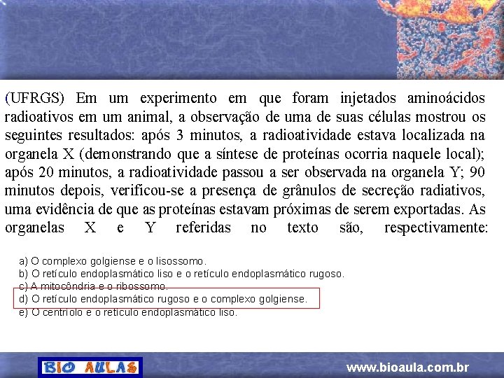 (UFRGS) Em um experimento em que foram injetados aminoácidos radioativos em um animal, a