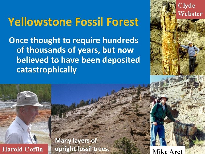 Yellowstone Fossil Forest Once thought to require hundreds of thousands of years, but now