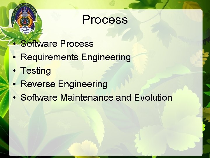 Process • • • Software Process Requirements Engineering Testing Reverse Engineering Software Maintenance and