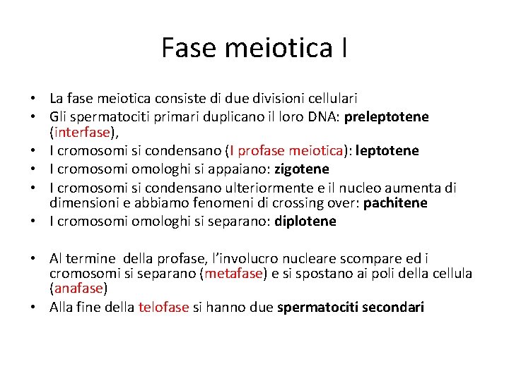 Fase meiotica I • La fase meiotica consiste di due divisioni cellulari • Gli