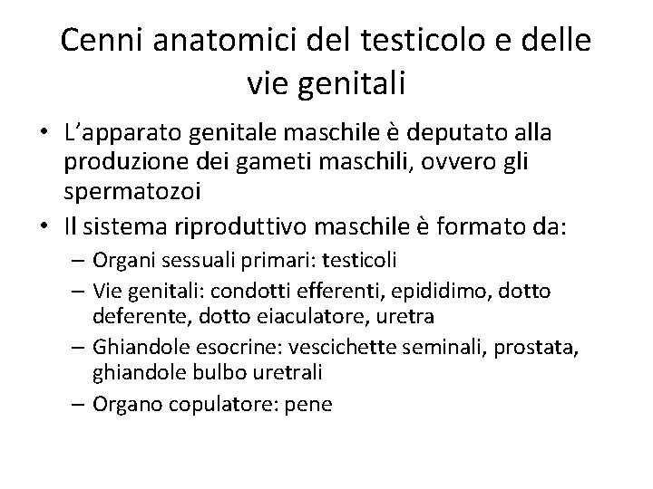 Cenni anatomici del testicolo e delle vie genitali • L’apparato genitale maschile è deputato