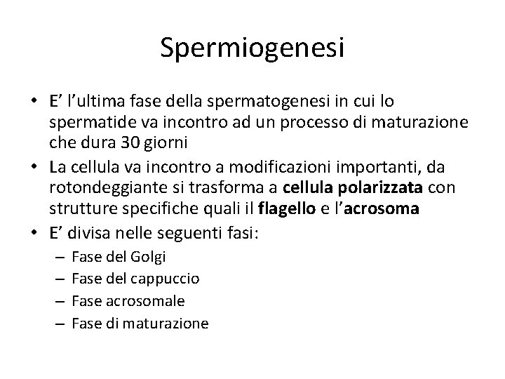 Spermiogenesi • E’ l’ultima fase della spermatogenesi in cui lo spermatide va incontro ad