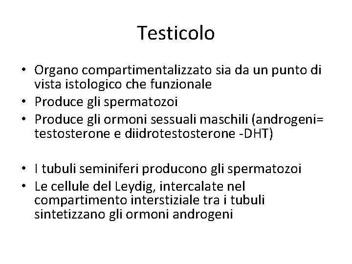 Testicolo • Organo compartimentalizzato sia da un punto di vista istologico che funzionale •