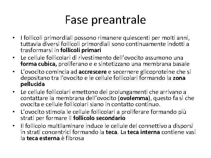 Fase preantrale • I follicoli primordiali possono rimanere quiescenti per molti anni, tuttavia diversi