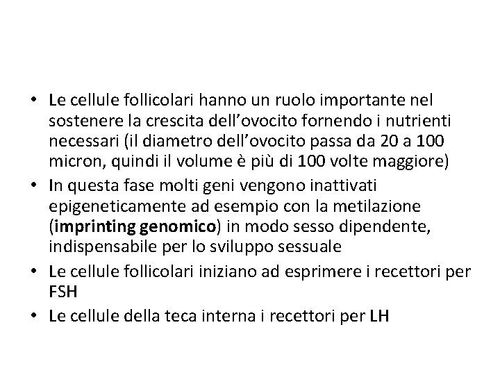  • Le cellule follicolari hanno un ruolo importante nel sostenere la crescita dell’ovocito