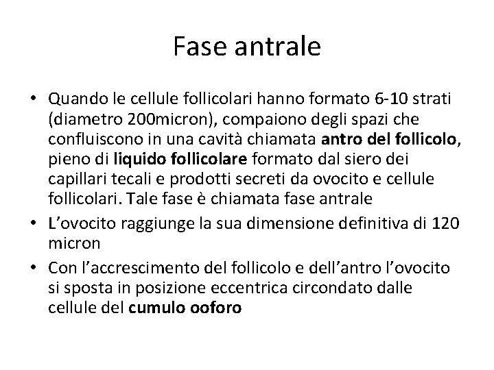 Fase antrale • Quando le cellule follicolari hanno formato 6 -10 strati (diametro 200