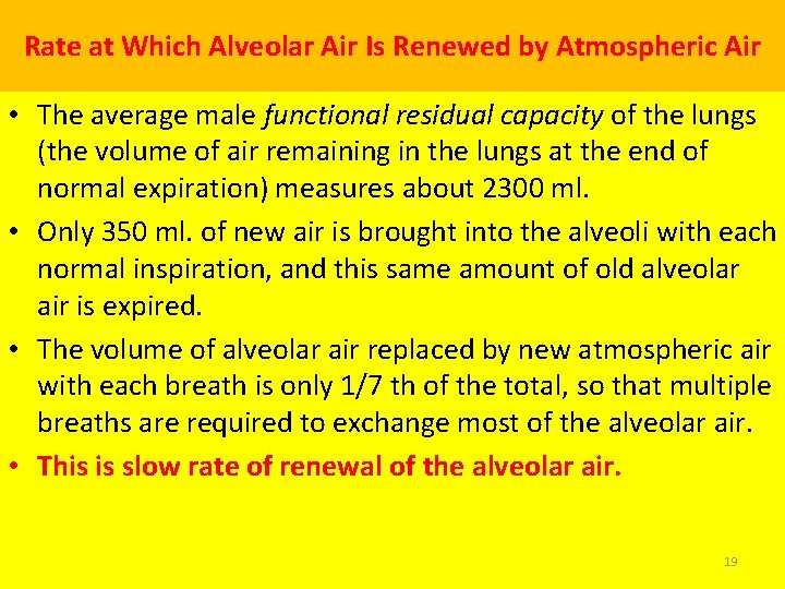 Rate at Which Alveolar Air Is Renewed by Atmospheric Air • The average male