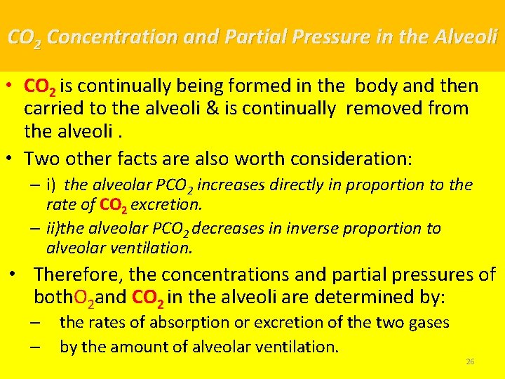 CO 2 Concentration and Partial Pressure in the Alveoli • CO 2 is continually