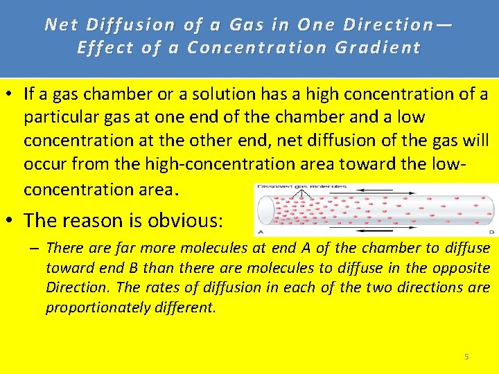 Net Diffusion of a Gas in One Direction— Effect of a Concentration Gradient •
