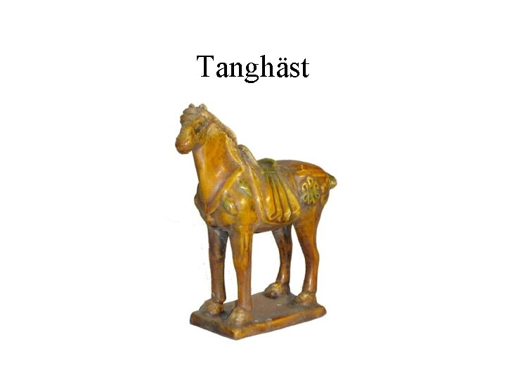 Tanghäst 