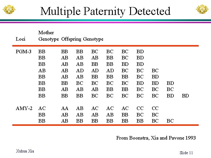 Multiple Paternity Detected Loci PGM-3 AMY-2 Mother Genotype Offspring Genotype BB BB BB AB