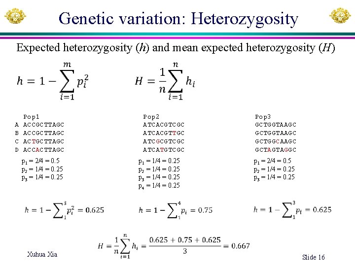 Genetic variation: Heterozygosity Expected heterozygosity (h) and mean expected heterozygosity (H) A B C