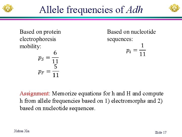 Allele frequencies of Adh Assignment: Memorize equations for h and H and compute h