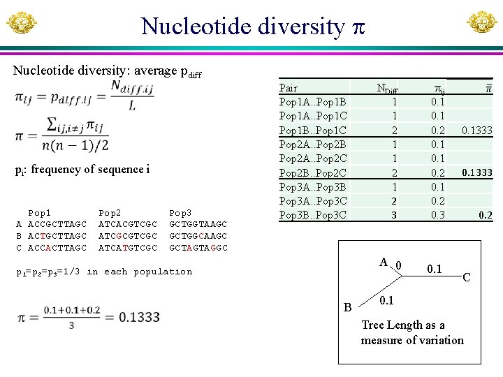 Nucleotide diversity Nucleotide diversity: average pdiff pi: frequency of sequence i Pop 1 A