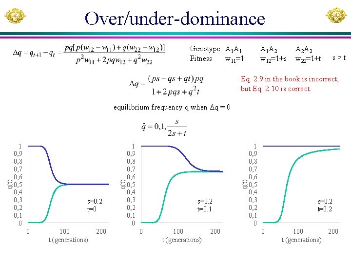 Over/under-dominance Genotype A 1 A 1 Fitness w 11=1 A 1 A 2 w