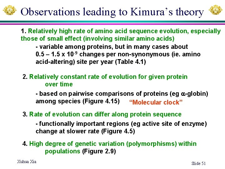 Observations leading to Kimura’s theory 1. Relatively high rate of amino acid sequence evolution,