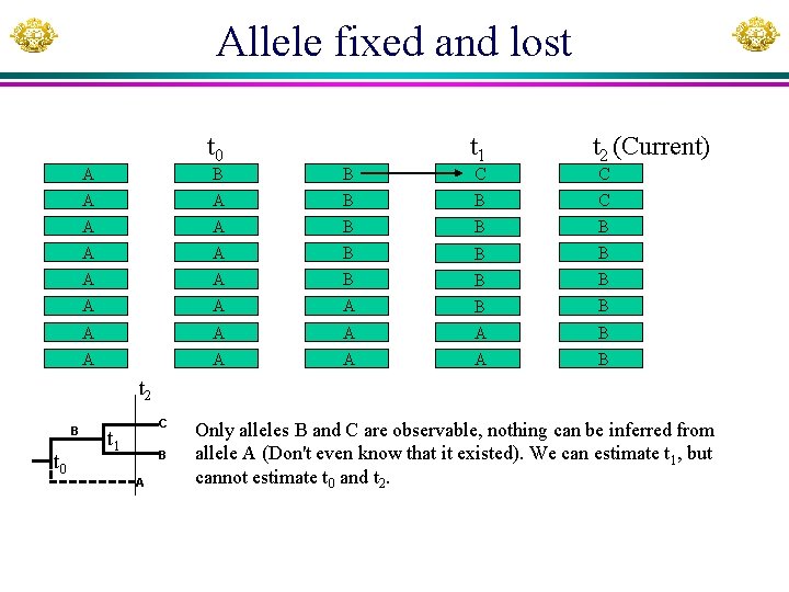 Allele fixed and lost t 0 A t 1 t 2 (Current) B B