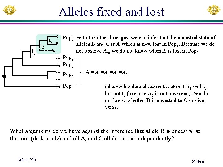 Alleles fixed and lost t 1 t 2 t 3 C B A 6