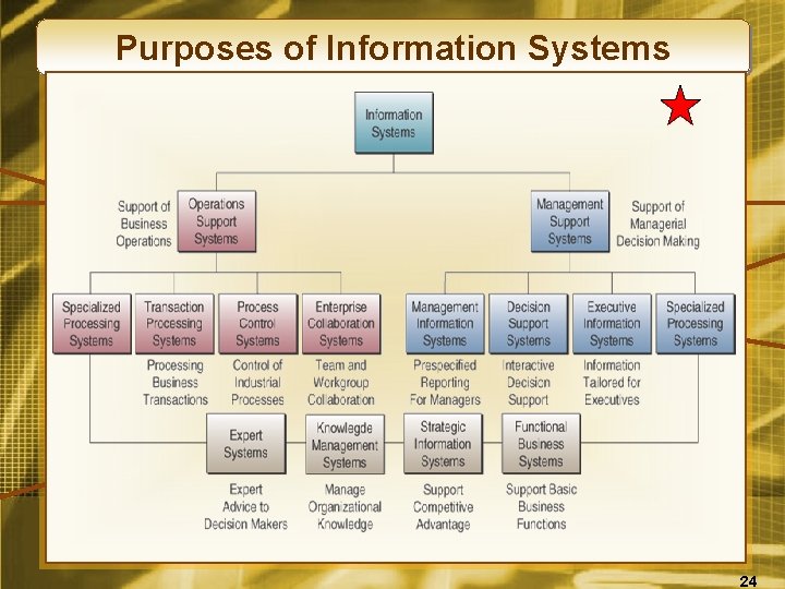 Purposes of Information Systems 24 