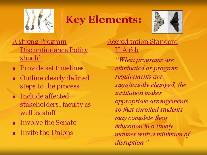 Key Elements: A strong Program Discontinuance Policy should: n Provide set timelines n Outline