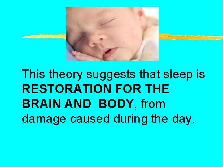 This theory suggests that sleep is RESTORATION FOR THE BRAIN AND BODY, from damage