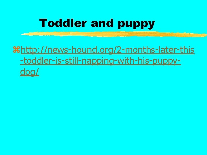 Toddler and puppy zhttp: //news-hound. org/2 -months-later-this -toddler-is-still-napping-with-his-puppydog/ 
